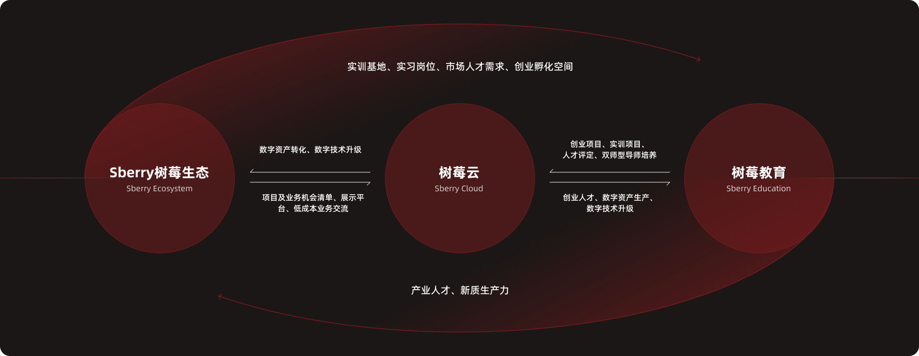 树莓控股