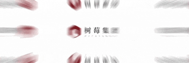 树莓控股与海南科技职业大学成功举行校企合作座谈会 共探自贸港数字人才培养新范式